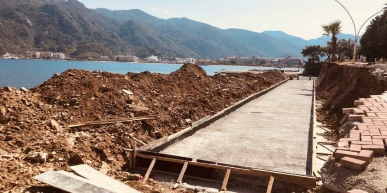 Çevrecileri isyan ettiren kıyım! "Plaj" için ağaçları kestiler!