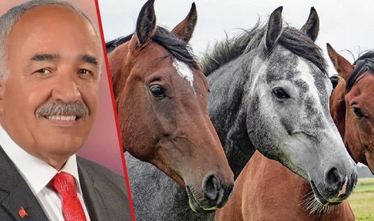İBB'nin hibe ettiği kayıp atlardan sucuk yapıldı iddiası gündeme gelmişti... MHP'den istifası açıklanan başkan açıklama yaptı