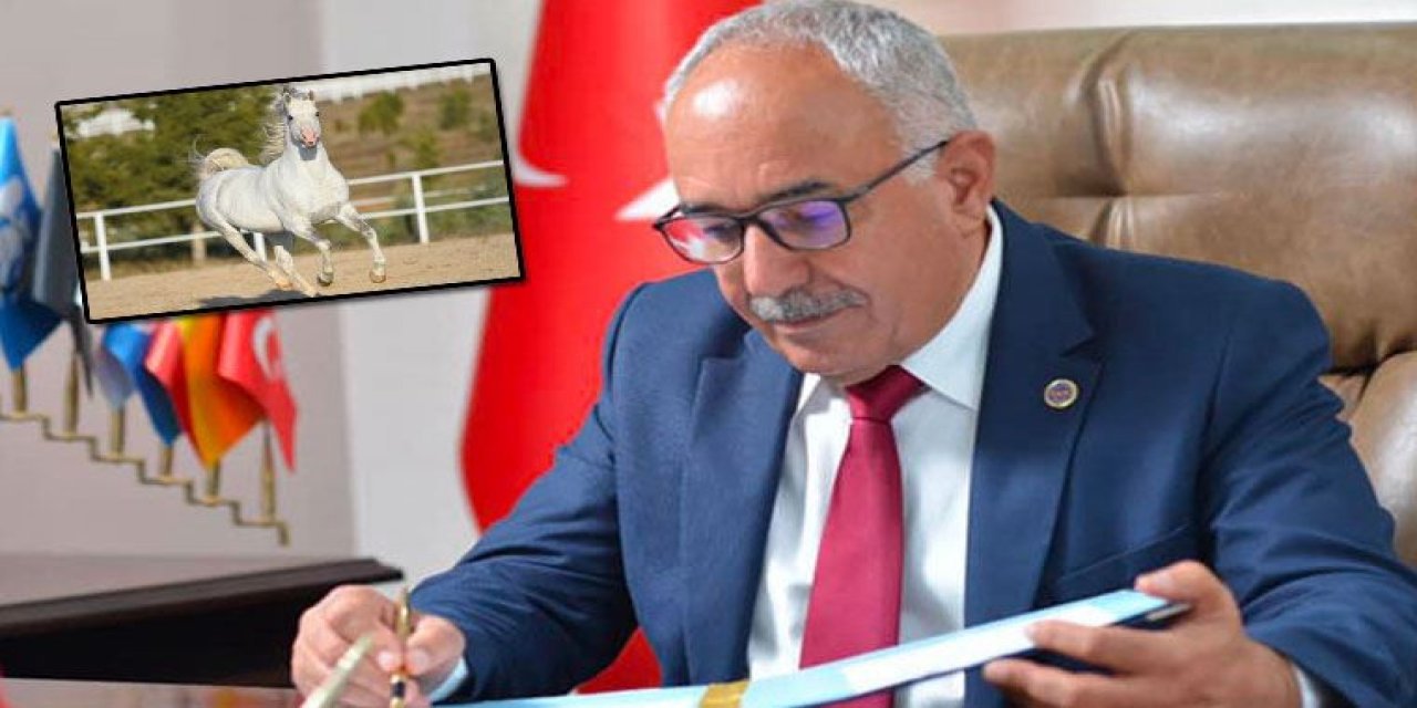 İBB'nin hibe ettiği atları kaybeden MHP’li belediyeden yeni skandal! İşte MHP’li belediyenin vergi oyunu!