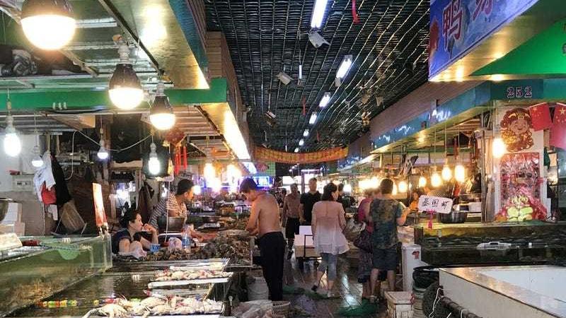 Bilim insanları itiraf etti! 'Wuhan'ın riskli olduğu yıllar önce biliniyordu'