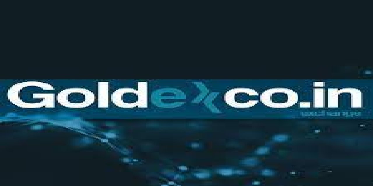 Kripto parada üçüncü şok! Thodex ve VeBitcoin'in ardından GoldexCoin'e de erişilemiyor!