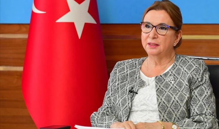 'Bu ancak Türkiye’de olur' Ruhsar Pekcan’ın şirketine devletten 1.4 milyon TL destek!