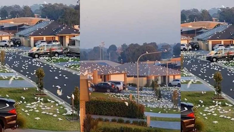Şehir halkı büyük bir gürültüyle uyandı! Herkesi şoke eden görüntüler