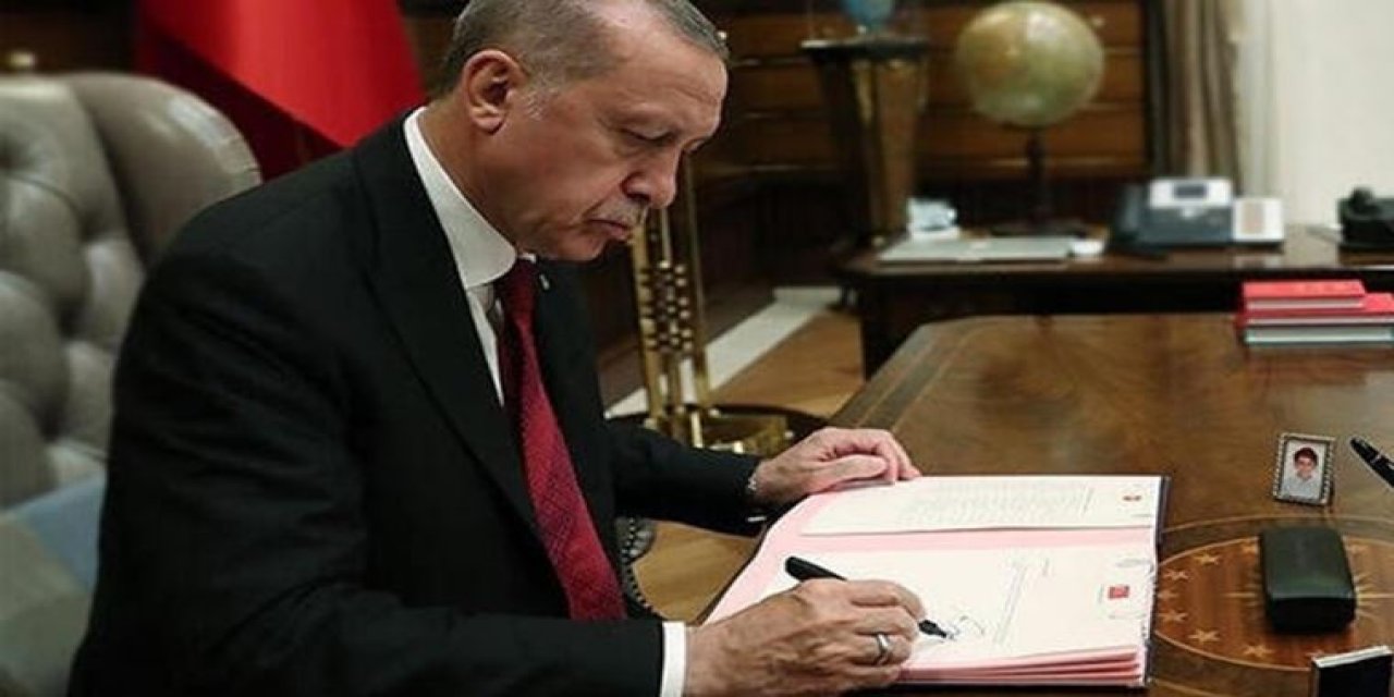 İnsan Hakları Eylem Planı Resmi Gazete'de yayımlandı!