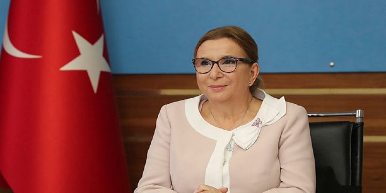 "İktidarın suçlamaları takmama hakkı" Erdoğan'ın eski danışmanından çok konuşulacak "Ruhsar Pekcan" yazısı! "Hesap sorulması yakındır"