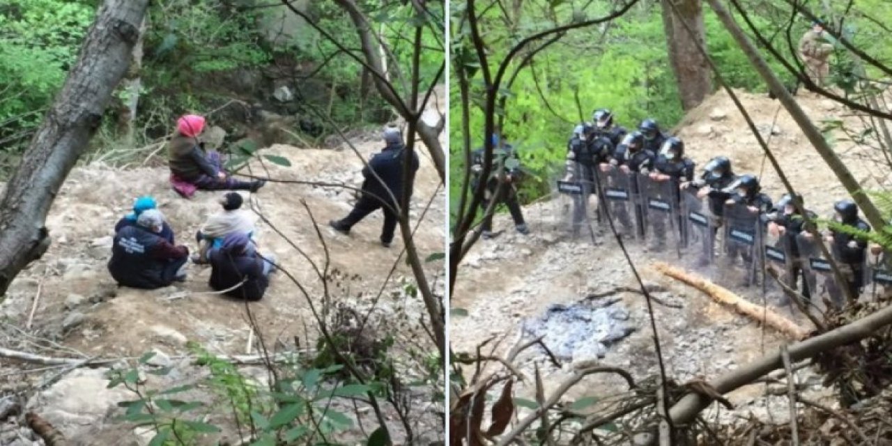 "Kıymayın efendiler" İkizdere’de ağaçta sürdürülen direnişe balta vuruldu! Gözaltılar var...