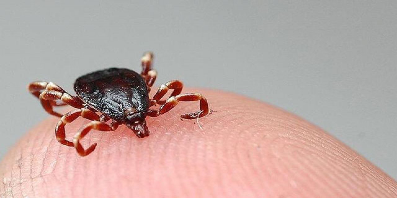 Uzmanı uyardı: Belirtileri koronayla benziyor!