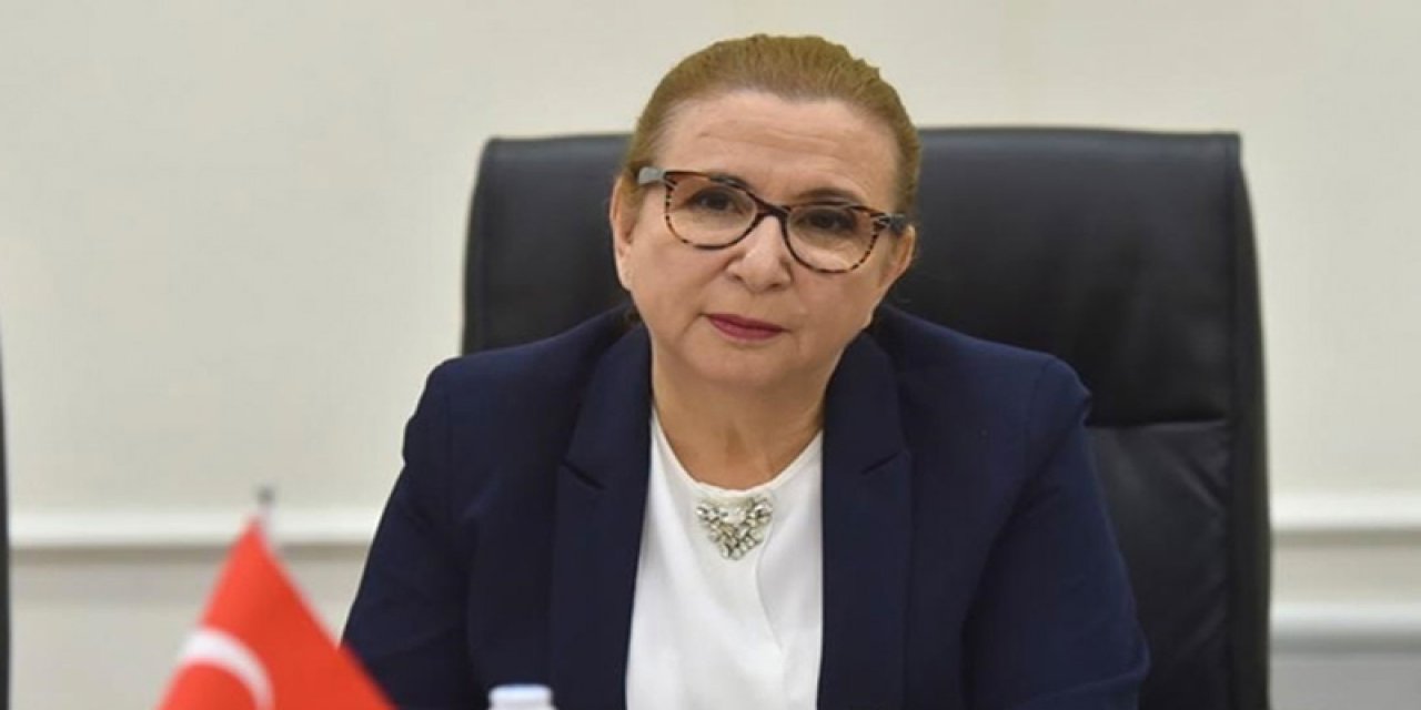 Barış Terkoğlu yazdı! Ruhsar Pekcan’ı takip edenlerin başına ne geldi?