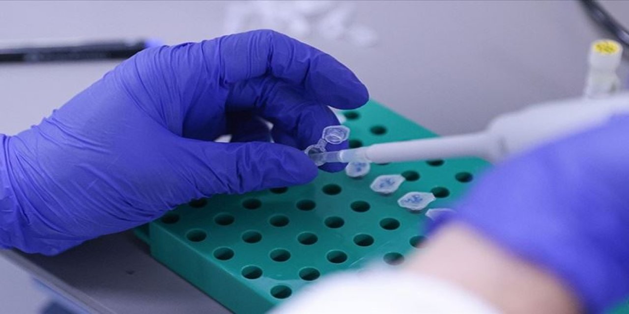 TÜBİTAK Başkanı yerli aşı için tarih verdi!