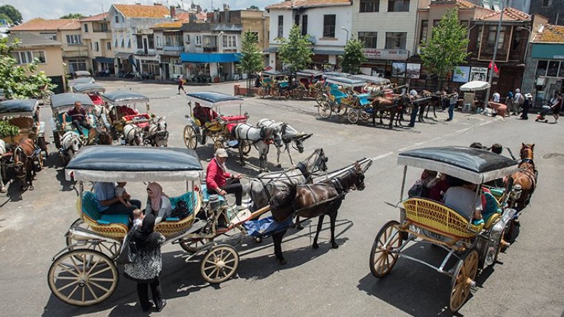 İBB Adalar'da faytona koşulan atlar sorununu çözüme kavuşturdu