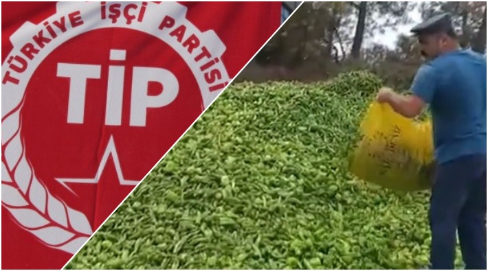 'Çiftçiler, köylüler, halkımız!' diye seslendiler... TİP’ten çiftçilere çağrı! 'Ekmeğimiz için mücadelede inat edelim'