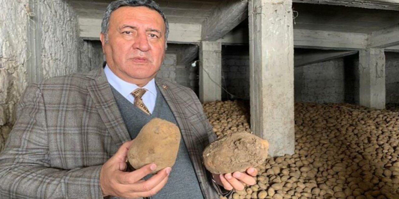 İktidar seyretti! CHP'li Ömer Fethi Gürer: 100 bin ton patates çürüdü!