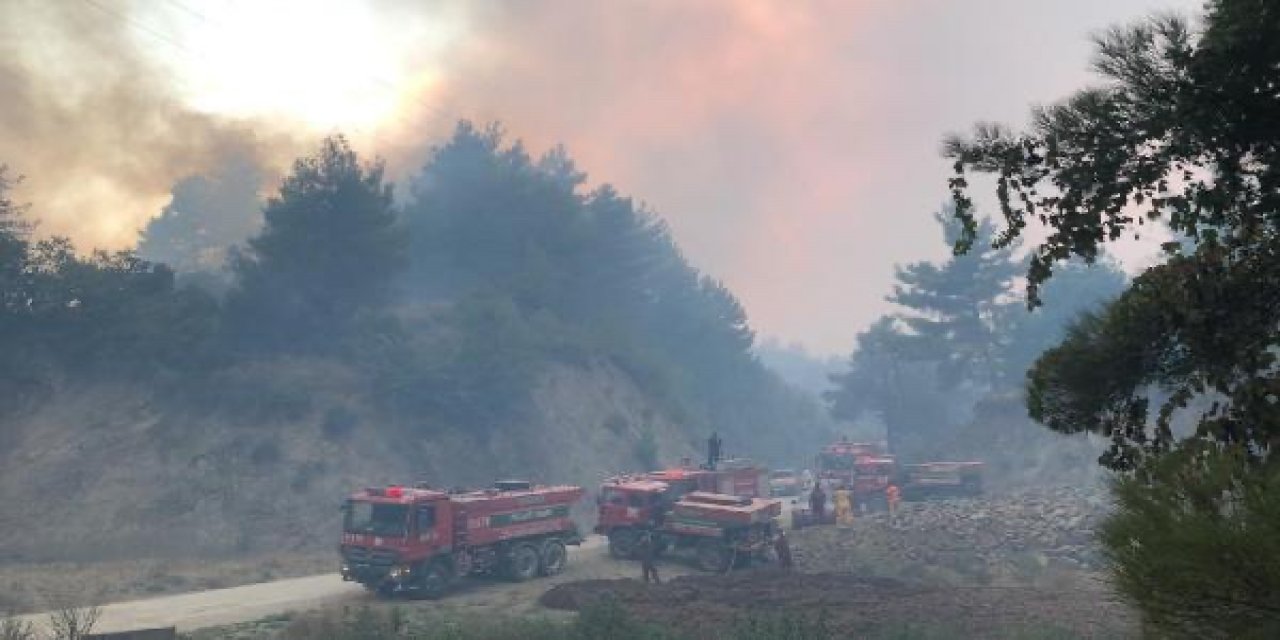 Samandağ ilçesine bağlı Kisecik Mahallesi yakınlarındaki ormanlık alanda yeniden alevler yükseldi.