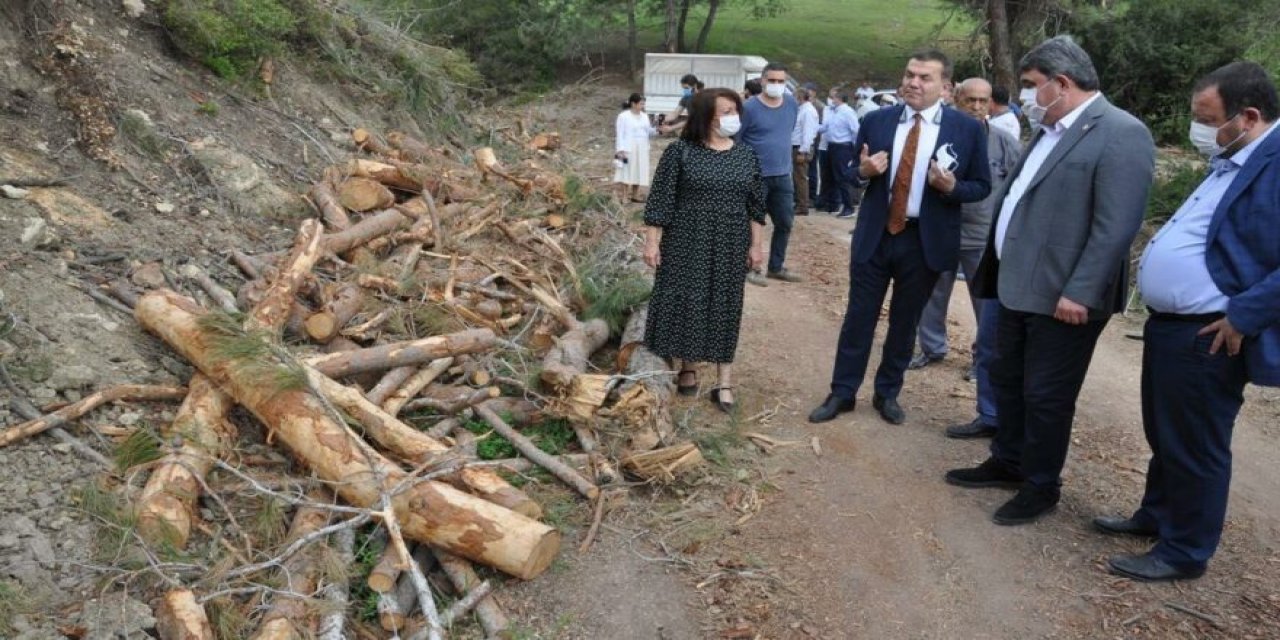 "AKP talanı ile karşı karşıyayız" Mersin’de ağaç katliamı!