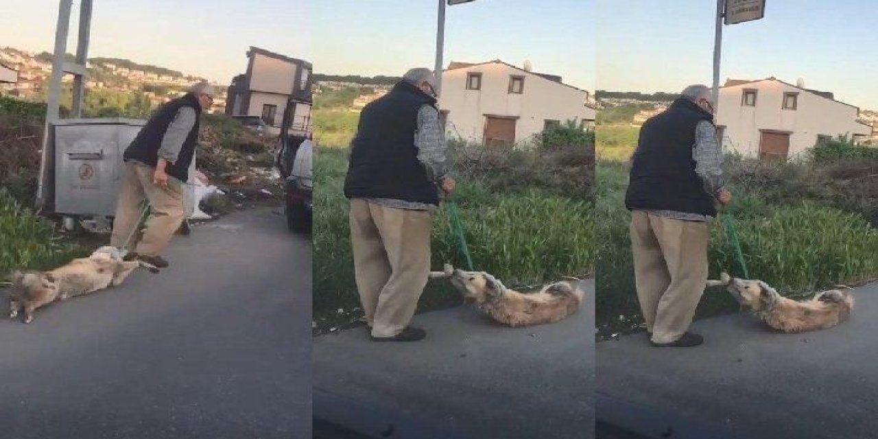 Köpeği boğazından bağlayarak sürüklemişti... Sosyal medyayı ayağa kaldıran olayda flaş gelişme! O adam...