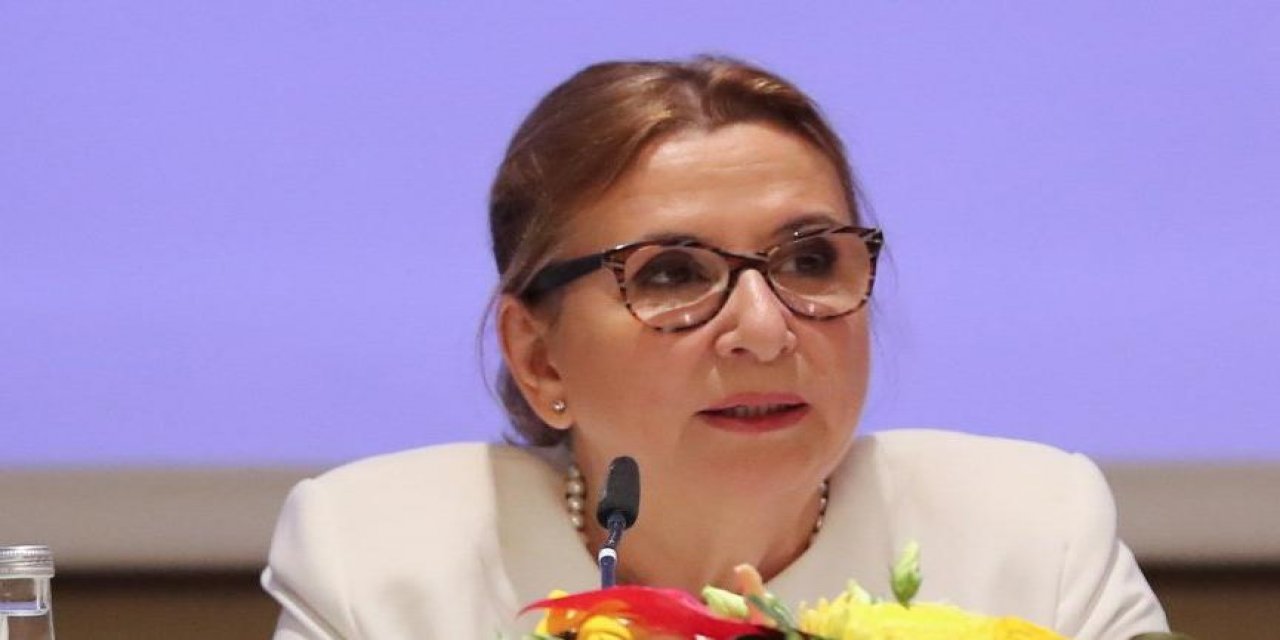 "Dezenfektan" skandalının yankıları sürüyor... Ruhsar Pekcan’ın yardımcısı da görevden alındı! İşte yerine gele isim!