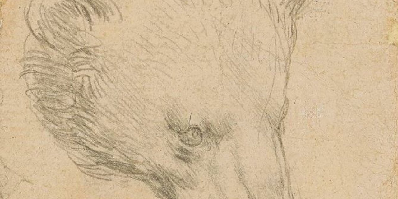 Leonardo da Vinci'nin bu  çizimi servet değerinde satılacak!