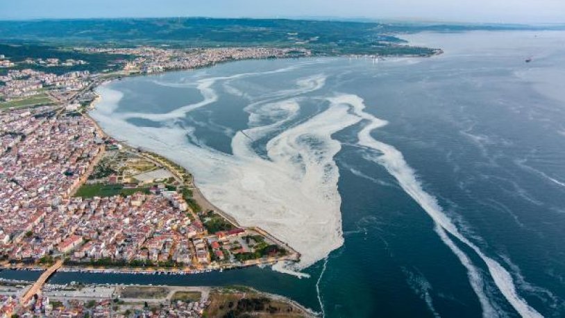 Çanakkale Boğazı'nı kapladı! 'Deniz salyası' havadan görüntülendi