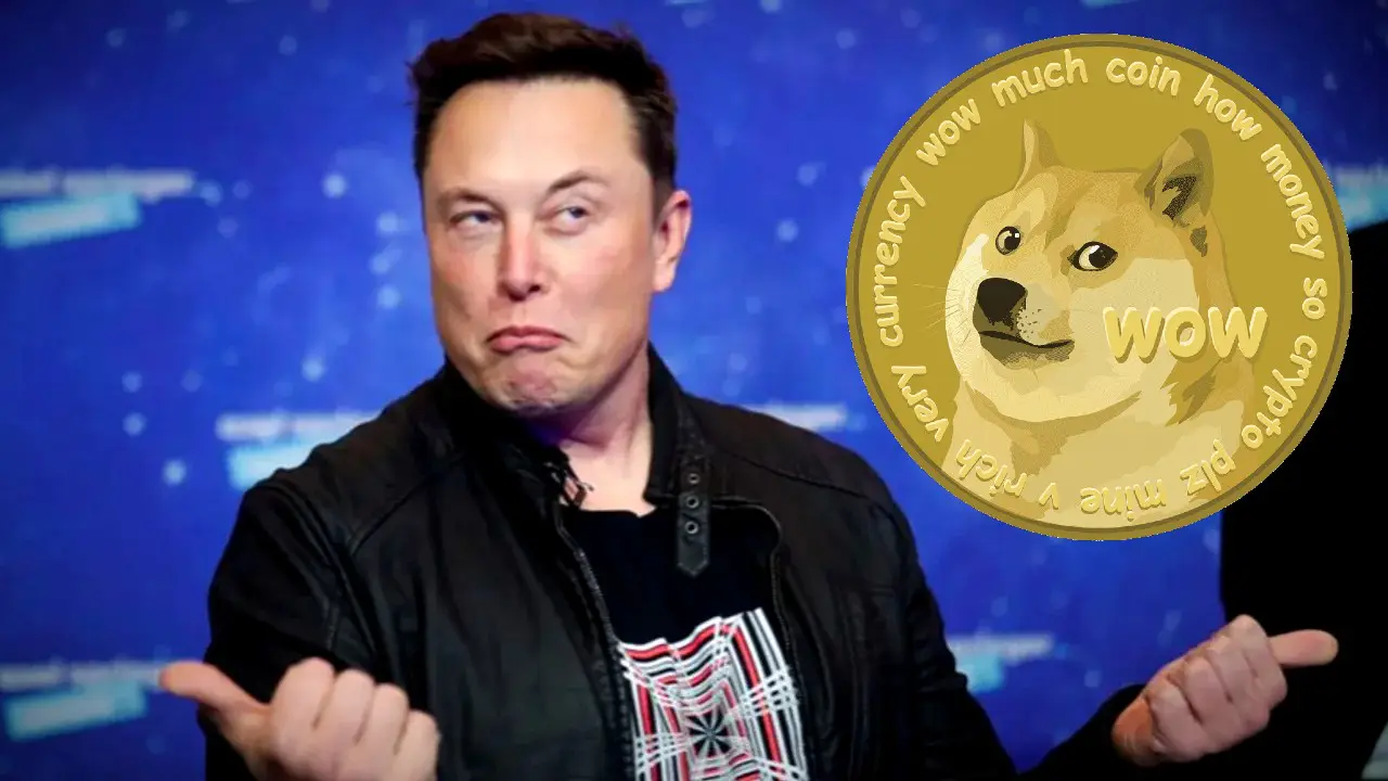 Elon Musk'tan yeni 'Dogecoin' açıklaması! Dogecoin neden düşüyor?