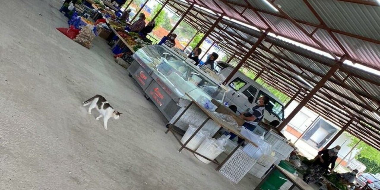 Herkese yasak, AKP'li başkana serbest! Pazar yerinde usulsüz tezgah açtı!
