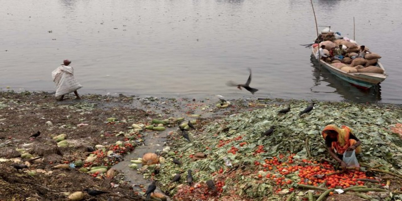 Bilim insanları 2030'da tüketilecek gıdaları tahmin etti