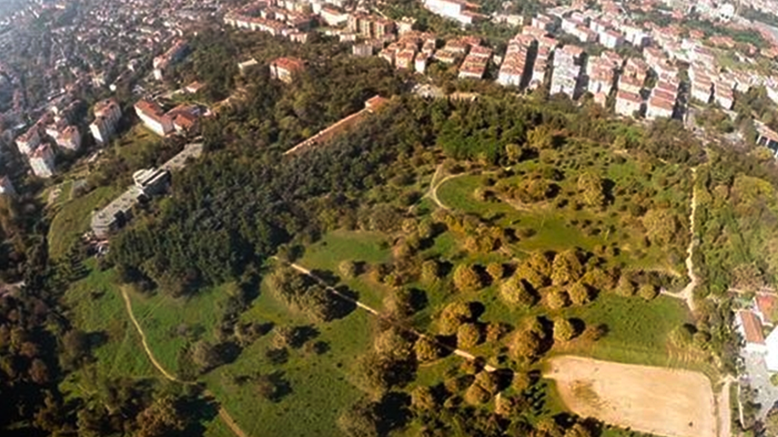 Millet bahçesi yapılmak isteniyor... Validebağ Korusu'yla ilgili ürküten rapor