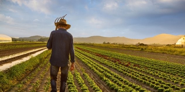 İktidar tarımın boğazına çöktü! Çiftçi borç batağına saplanırken ithalata milyarlarca dolar aktı