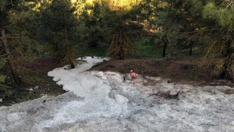 Doğaya verilen zarar zirveye doğru tırmanıyor! Ormana beton döktüler