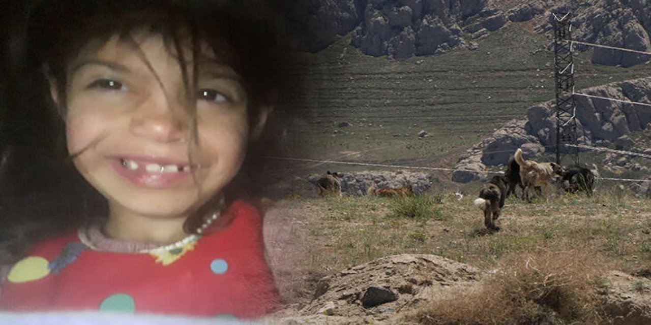 Kayıp olarak aranıyordu... 6 yaşındaki Ruken'in korkunç ölümü!