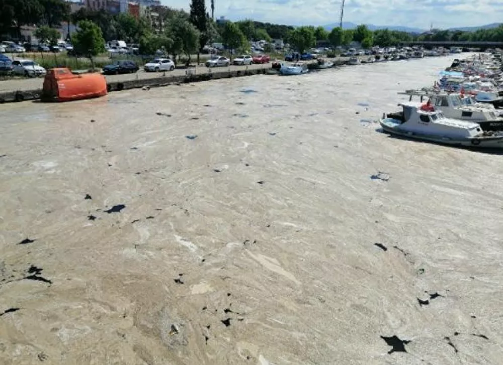 Çanakkale Boğazı'nı 3 aydır etkisi altına aldı... Tehlike şimdi de şimdi de Sarıçay'da