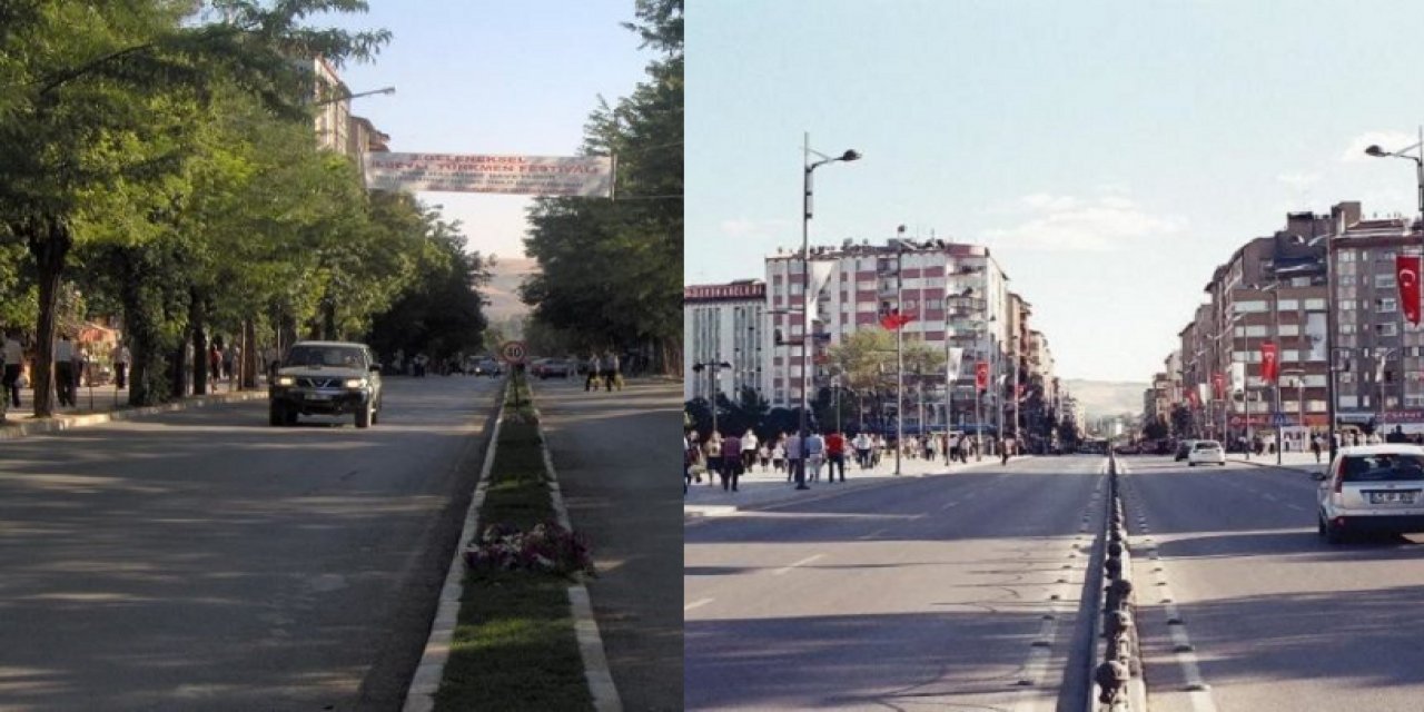 Yeşili katleden AKP'li Sivas Belediyesi kendi ayağına sıktı!