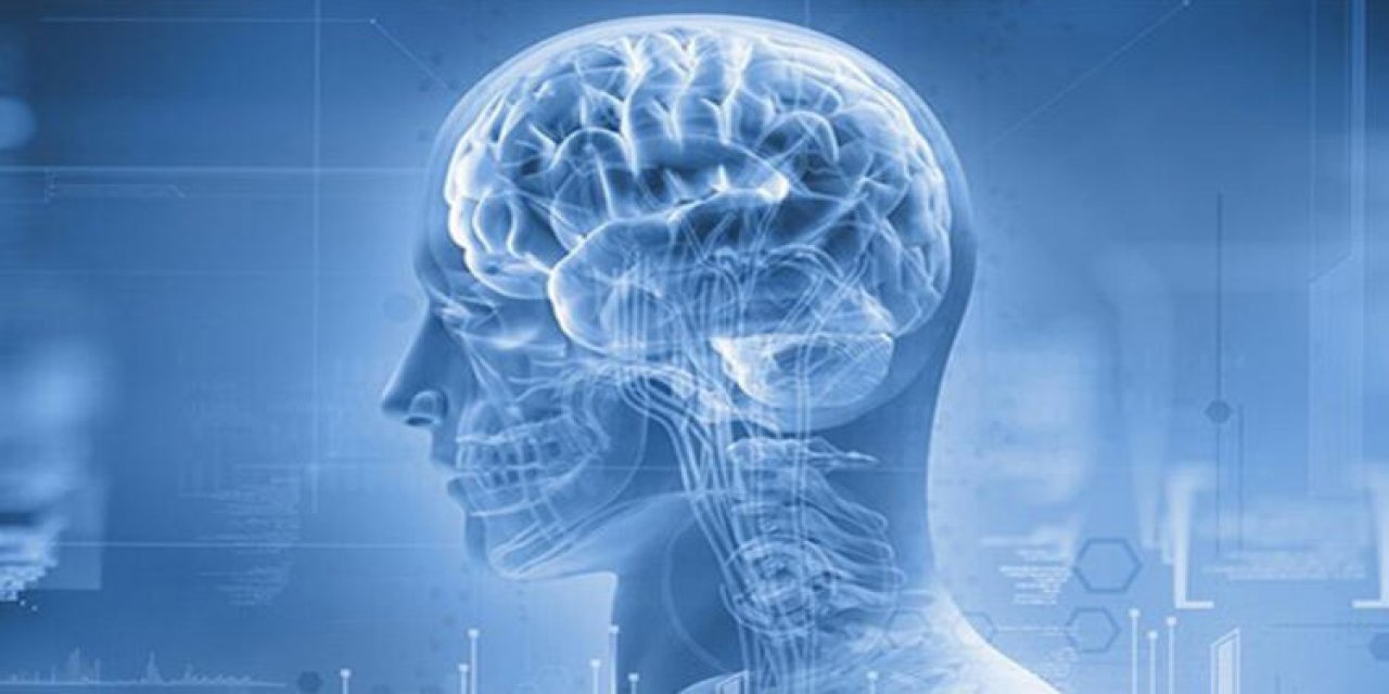 Kafatasında yeni bir organ bulundu