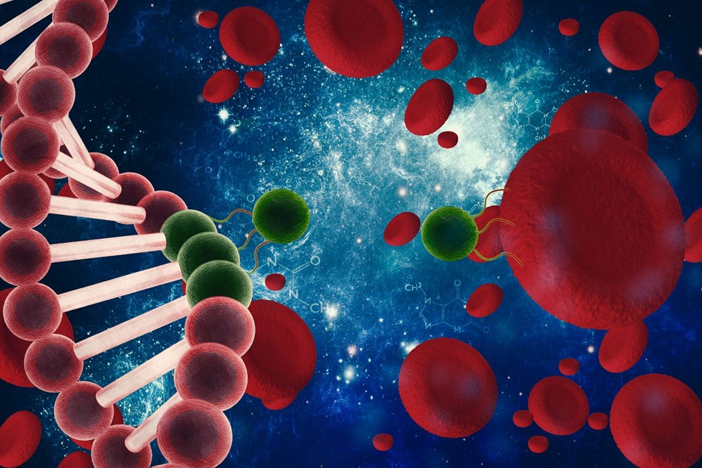 Bilim insanlarından sevindiren antikor çalışması! 'Hayat boyu sürebilir'