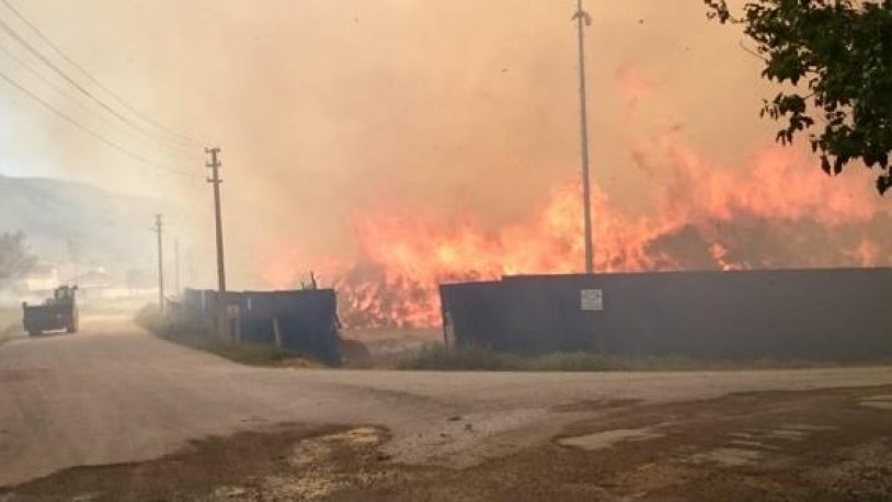 Biyokütle enerji tesisindeki yangının bilançosu ortaya çıktı