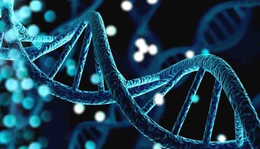 Bilim insanları açıkladı! İnsan ömrünün sınırı tespit edildi