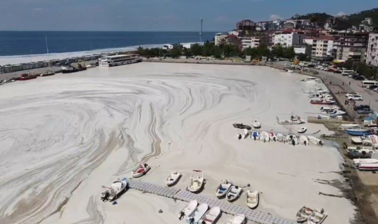 Marmara Denizi için korkunç senaryo! 'Marmara Denizi'nin sonu yaklaşıyor olabilir'