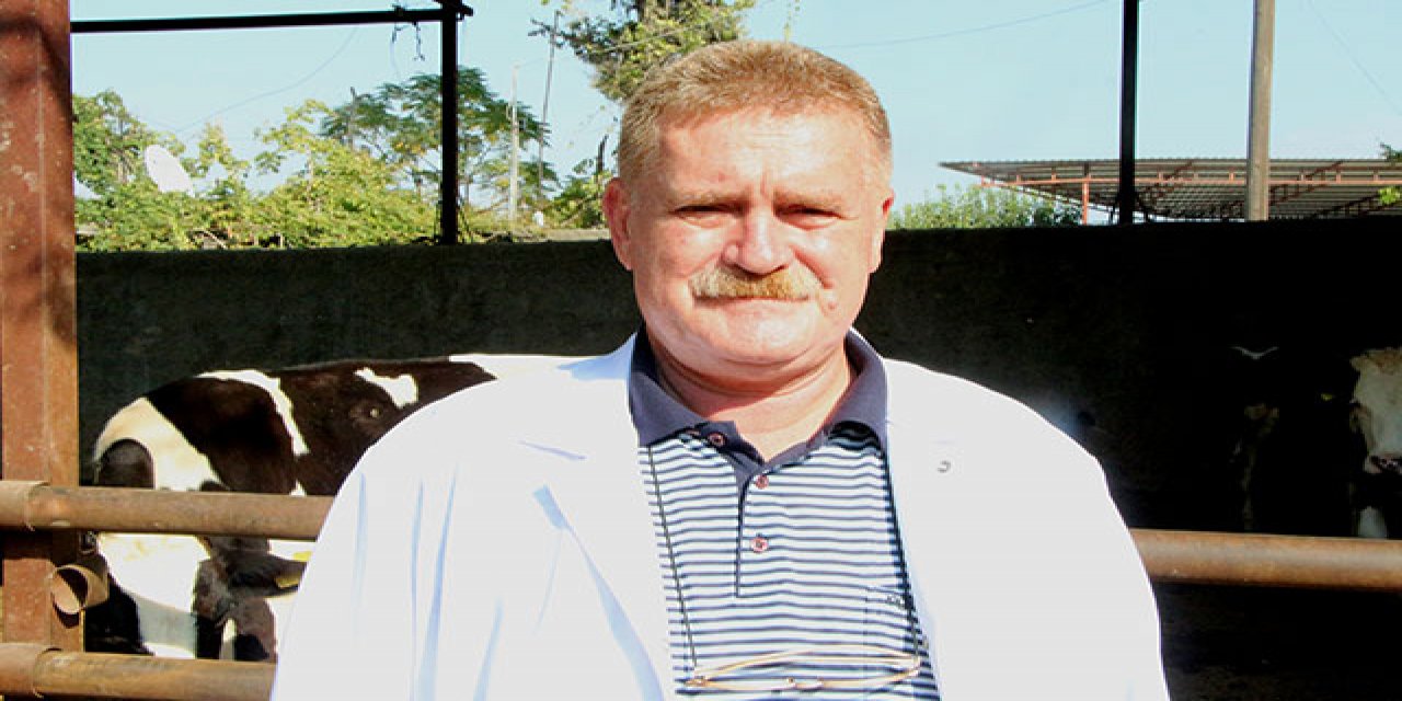 Adana'da 'kör eden' sinek tehlikesi