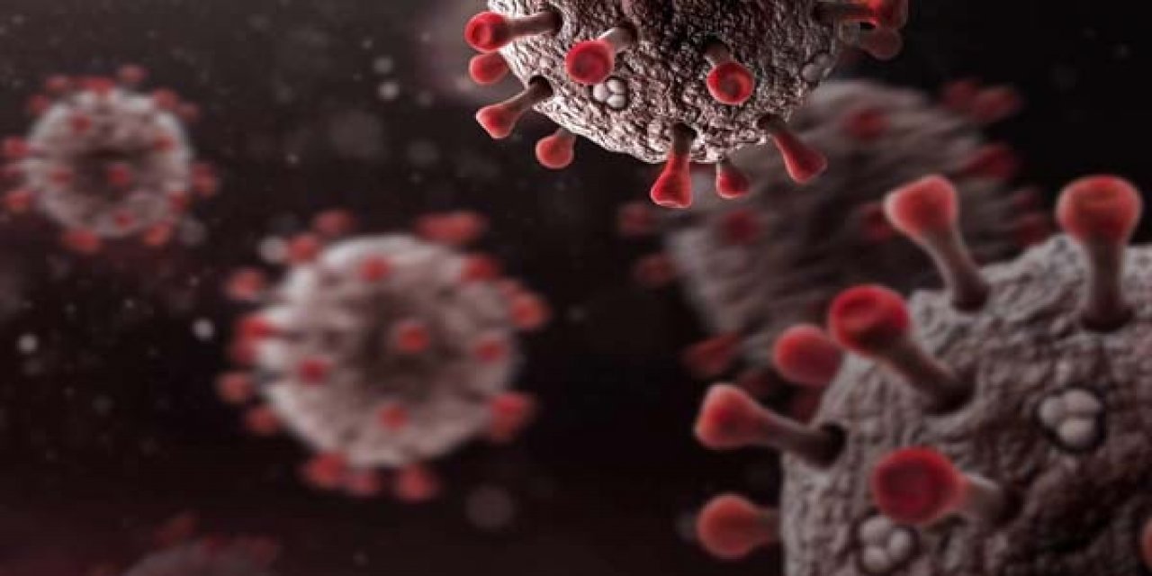 “Covid-19’a karşı sürü bağışıklığını beklemek tehlikeli”