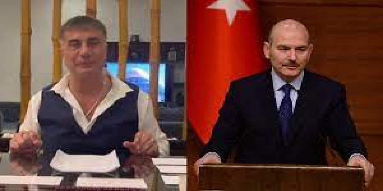 "Hani suç dünyasının siyasi ayağı!" Erdoğan'ın eski danışmanından Soylu'yu kızdıracak "Sedat Peker" yazısı!