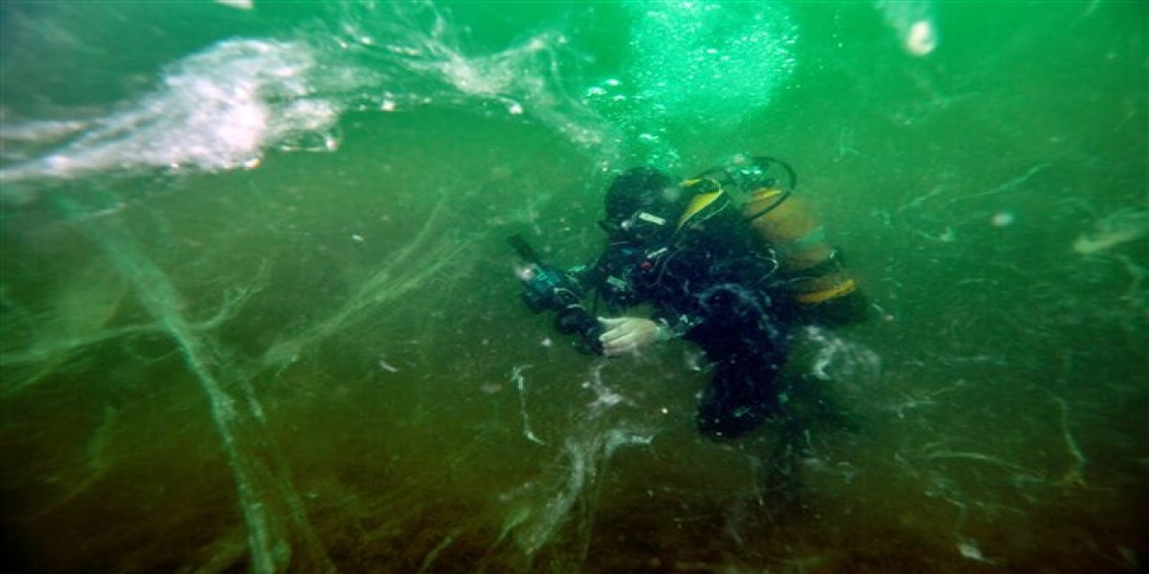 Marmara’yı "ölü deniz" haline getiren müsilaj (deniz salyası) neden oluştu? Bölgede inceleme yapan uzman isim açıkladı!