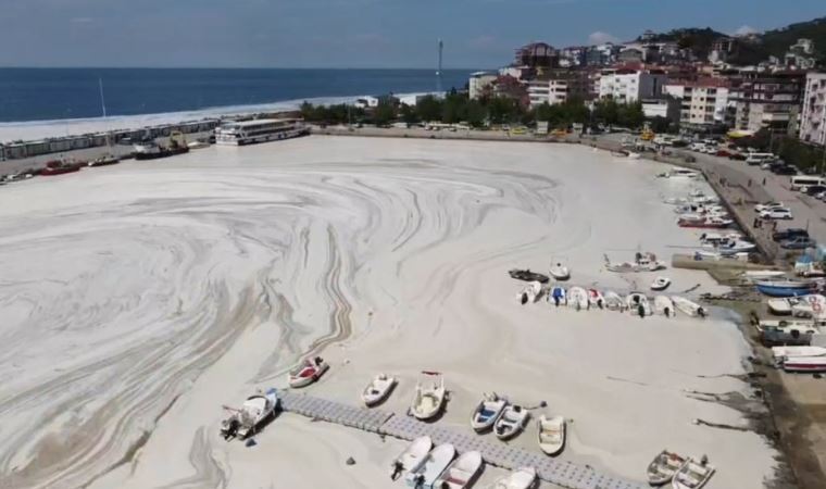 Marmara Denizi için durum kritik! Bu çağrıya kulak verilmeli! Prof. Dr. Mustafa Sarı'dan 'deniz salyası' açıklaması