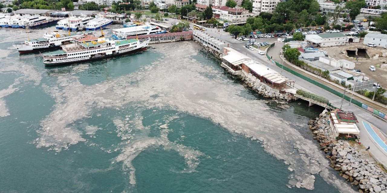 "‘Marmara Denizi bağırıyor: Konuşmayı bırakın eyleme geçin" Çevre mühendisi profesörden çok önemli "müsilaj (deniz salyası)" açıklaması!