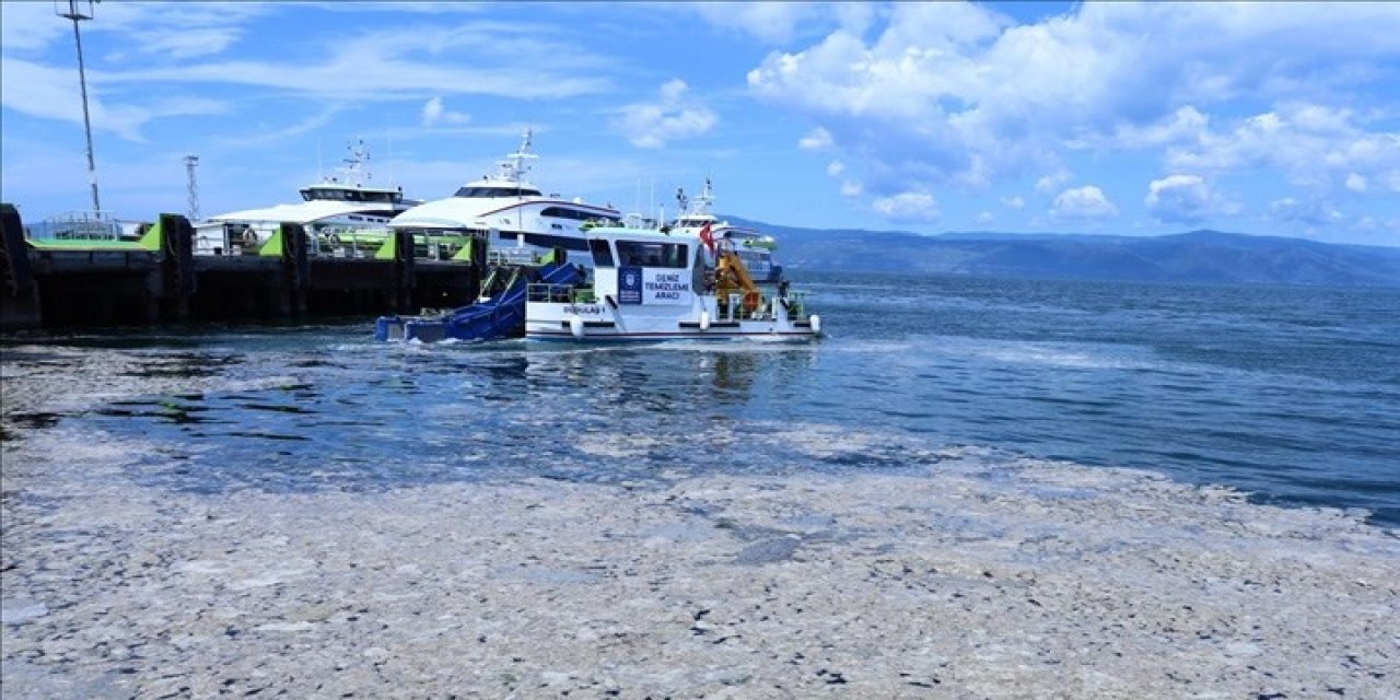 "Bu derece bir durumla hiç karşılaşmamıştık" ODTÜ'den çarpıcı müsilaj (deniz salyası) araştırması!