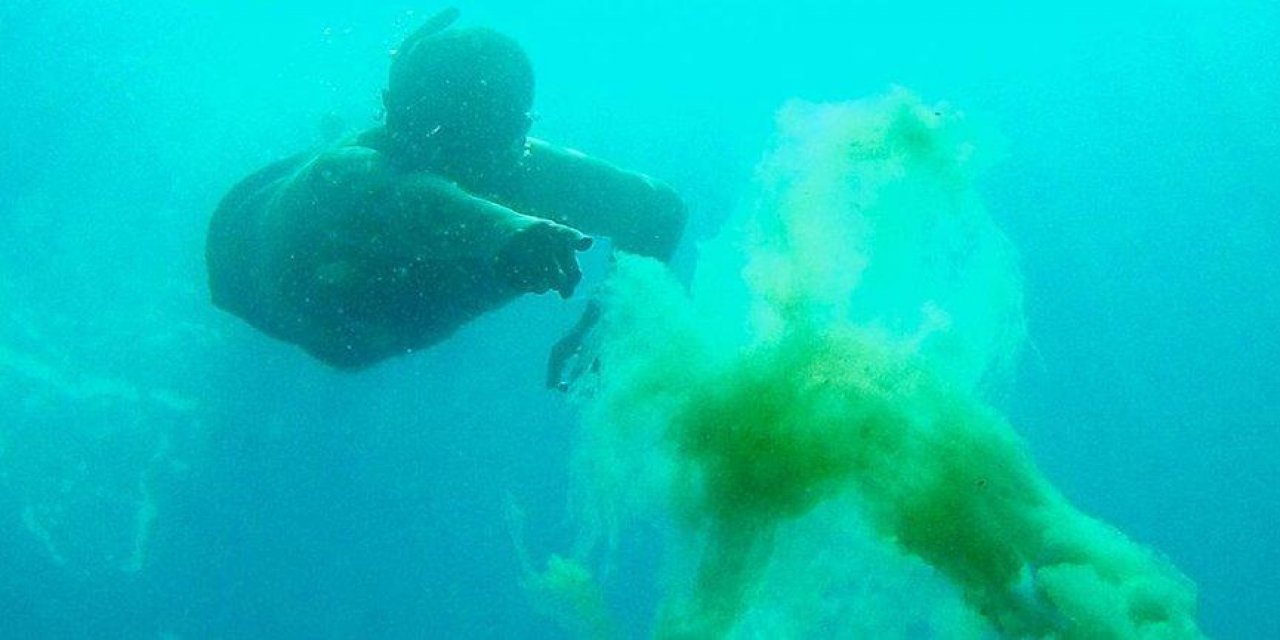 Ünlü komedyen müsilajı (deniz salyasını) fotoğrafladı! "Buraya kadar geldi!"
