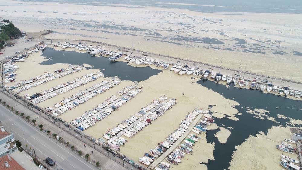 Şakası yok! Prof. Dr. Cemal Saydam'dan kritik uyarı ‘Balığı, yüzmeyi unutun’