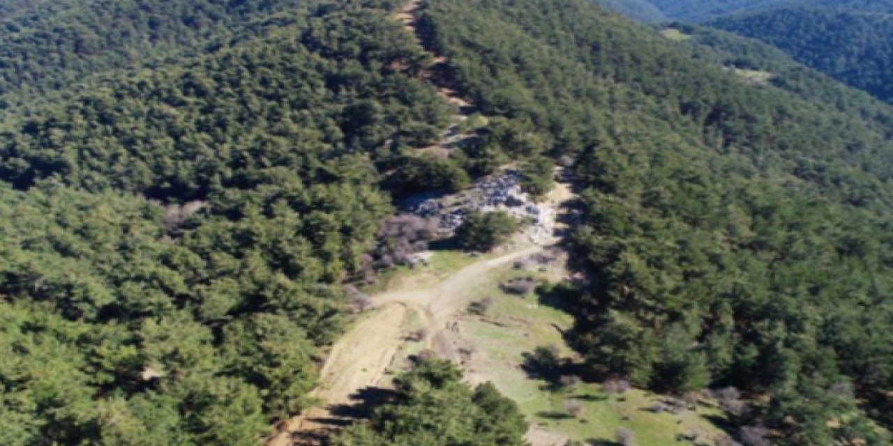 AKP'den AKP'ye "orman" eleştirisi! "Korunan alanlarda da kesim yapılıyor"