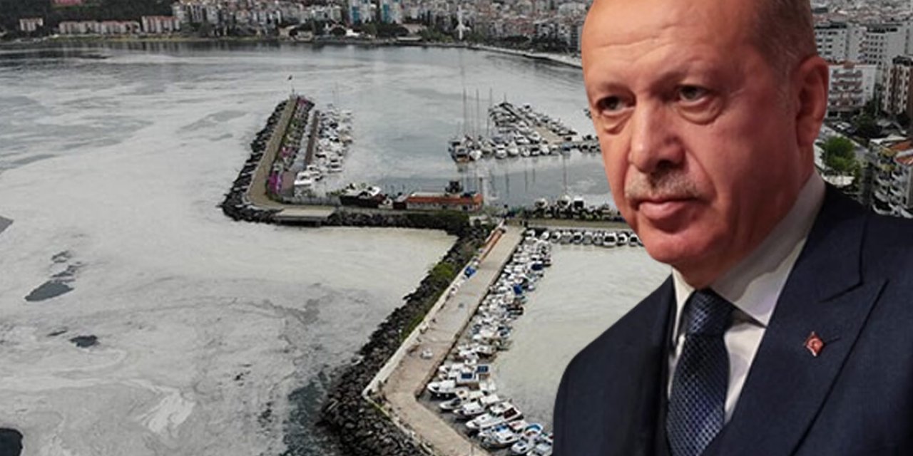 Cumhurbaşkanı Erdoğan'dan "müsilaj (deniz salyası)" açıklaması! "Talimatı verdim, Marmara'yı bu beladan kurtaracağız"