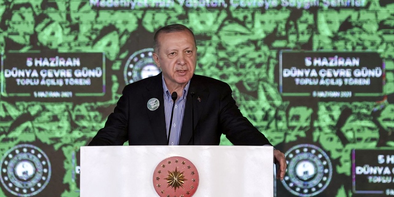 Erdoğan "Görevi devraldığımda ağaç mağaç yoktu" dedi... Sosyal medya ağaya kalktı! Tepki yağdı...