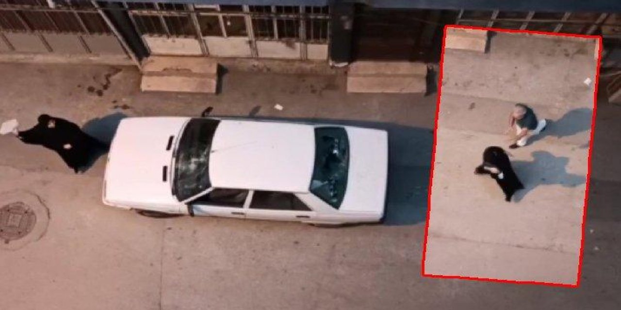 Aldatıldığını öğrenen kadın çılgına döndü!