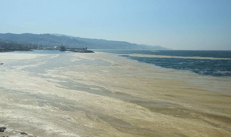 Prof. Dr. Tecer'den önemli 'müsilaj' açıklaması! 'Sağlık ve yaşam üzerindeki etkileri araştırılıyor'